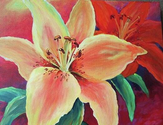 Lily by Sue Nelson Lily by Sue Nelson