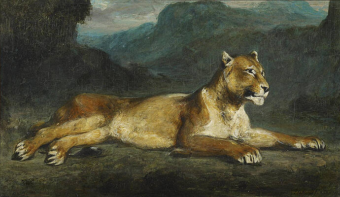 Lioness Reclining Print by Eugene Delacroix