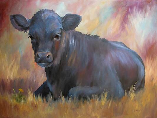 Large Cattle Cows Black Angus Pastures Art Print Landscape Picture Toni Grote 