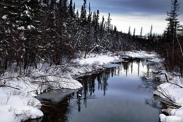 Wall Art - Photograph - Little pond by Alberto Audisio