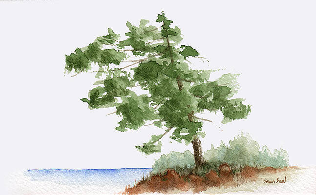 22+ Acrylic Bonsai Tree Painting Pics