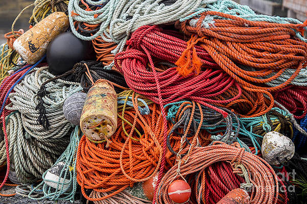 Lobstering Lines by Darla Bruno