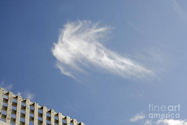 Lone Cirrus Cloud Print by John  Mitchell