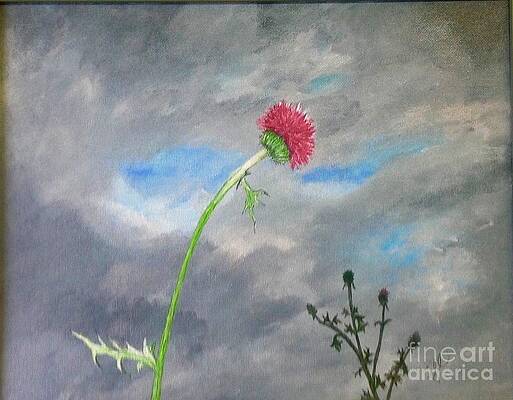 Lonely Thistle by Jessie Lofland