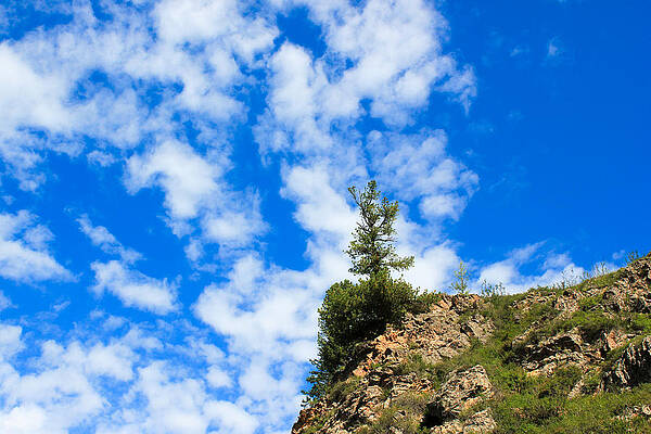 Lonely tree on a cliff against the blue sky. On the tree cross of clouds. Divine sign. by Mikhail Piizzoff