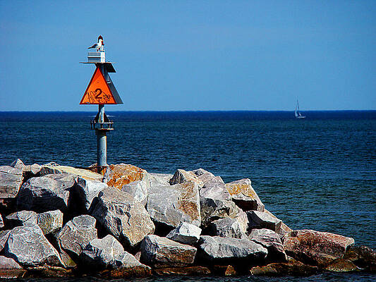 Wall Art - Photograph - Lookout by Todd Zabel