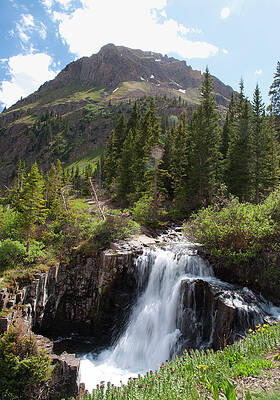 Wall Art - Photograph - Lower Falls by Julia McHugh