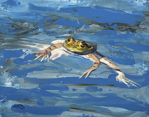 Swimming Frog Paintings for Sale - Fine Art America