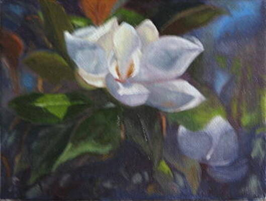 Magnolia by Cynthia Vowell