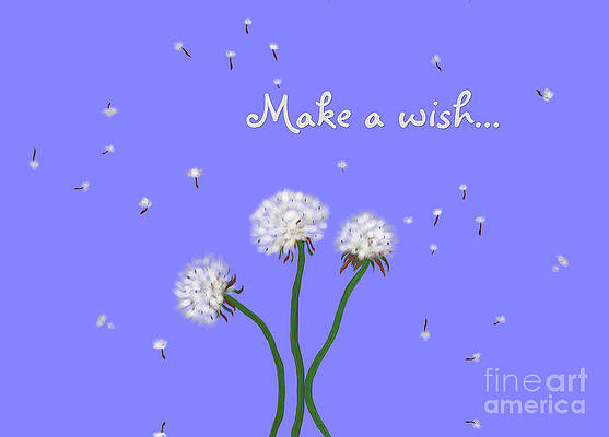 Dandelion Puff Paintings Fine Art America