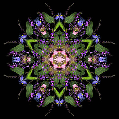 Mandala Garden by Marsha Tudor Mandala Garden by Marsha Tudor