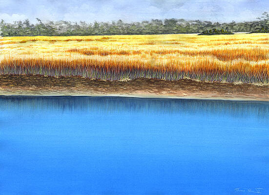 Marsh Scene I by Thomas Hamm Marsh Scene I by Thomas Hamm