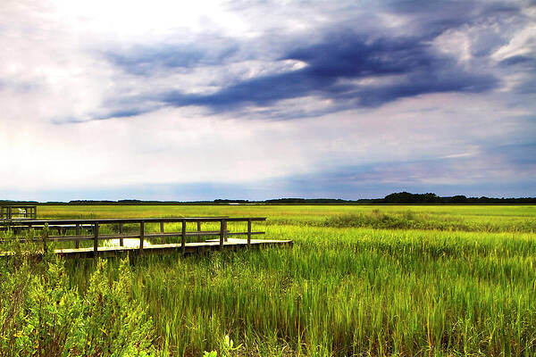 Wall Art - Photograph - Marshland Storm 1 by Alan Hausenflock