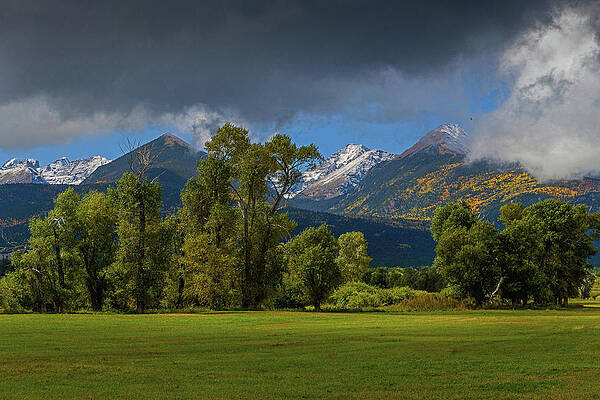 Meadow 2 by Gary Benson Meadow 2 by Gary Benson