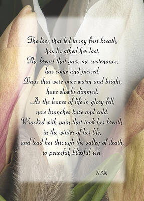 Memorial to Mom by Keith Berr Memorial to Mom by Keith Berr