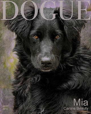Mia's Modeling Career by Liz Mackney Mia's Modeling Career by Liz Mackney