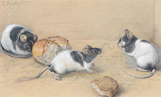 Mice Print by Carl Reichert