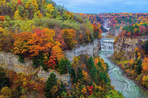 Letchworth State Park Art Festival 2022