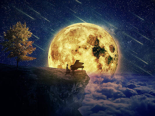 midnight lullaby by PsychoShadow ART midnight lullaby by PsychoShadow ART