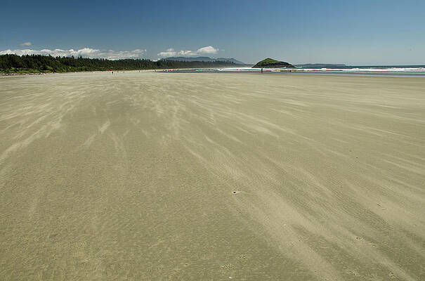 Miles of Wind on Long Beach by Kathy Paynter Miles of Wind on Long Beach by Kathy Paynter