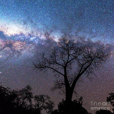 Milky Way by Scott Kerrigan Milky Way by Scott Kerrigan