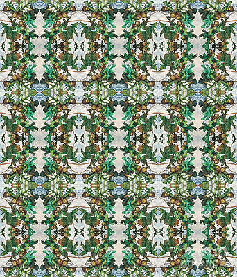 Mirror Image of Acorns on an Oak Tree by Mastiff Studios Mirror Image of Acorns on an Oak Tree by Mastiff Studios