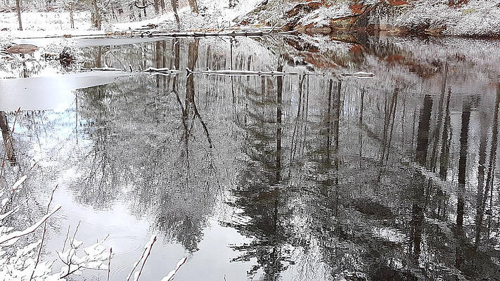 Mirror me by John McLear