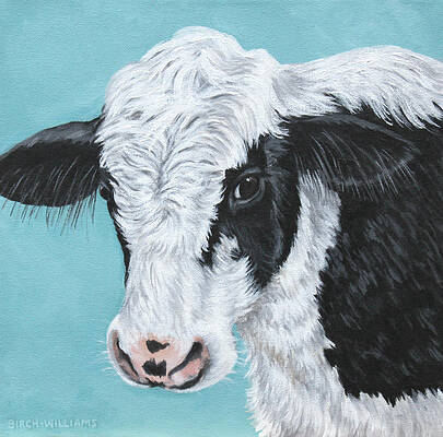 Moo by Penny Birch-Williams Moo by Penny Birch-Williams