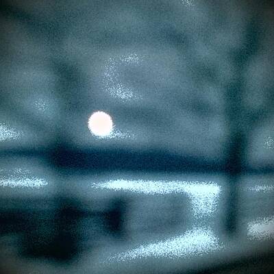 Moonlight and Snow by Deborah Rosier Moonlight and Snow by Deborah Rosier