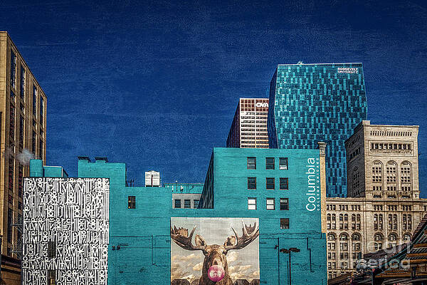 Wall Art - Photograph - Moose bubble by Izet Kapetanovic