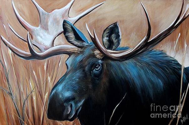 Canadian Moose by Joanne Abbott Canadian Moose by Joanne Abbott