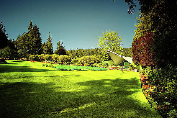 Wall Art - Photograph - More Green by Lawrence Christopher