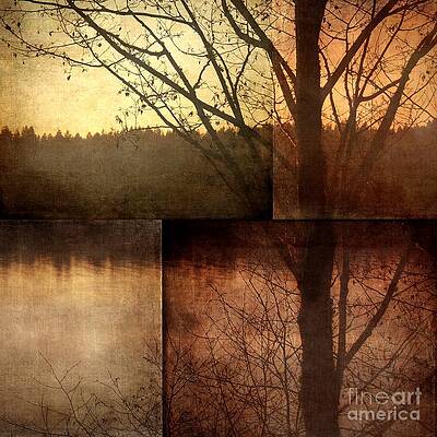 Wall Art - Photograph - Mosaic - Tree and Texture by Patricia Strand