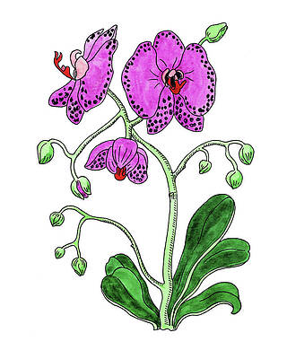 Purple Orchid Paintings Fine Art America