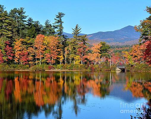 Wall Art - Photograph - Mount Chocorua by Steve Brown