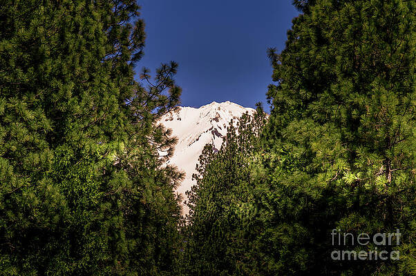 Wall Art - Photograph - Mount Shasta #2 by Blake Webster