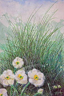 Mountain Daisy 2 by Ian Anderson Mountain Daisy 2 by Ian Anderson