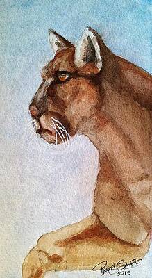 Mountain Lion by Rand Swift Mountain Lion by Rand Swift
