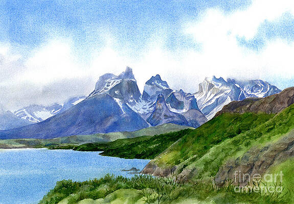 Torres Del Paine Patagonia Chile Canvas Leather Print/large 