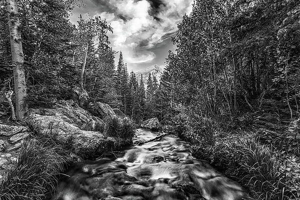 Mountain Stream by Chuck Rasco Photography Mountain Stream by Chuck Rasco Photography