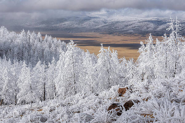Mountains of Rime by Andrew Gordon Mountains of Rime by Andrew Gordon