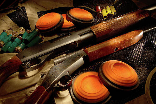 Skeet Art for Sale - Fine Art America