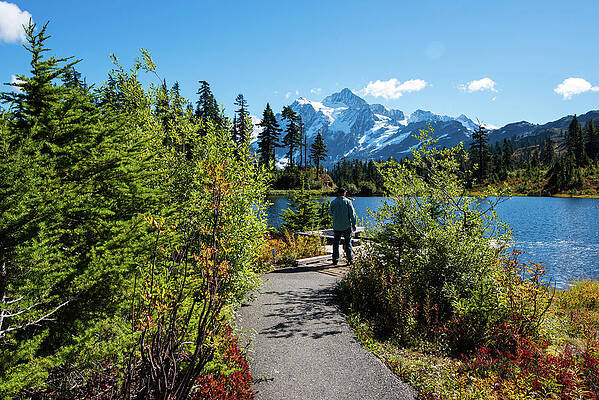 Wall Art - Photograph - Mt Shuksan Exalted by Tom Cochran