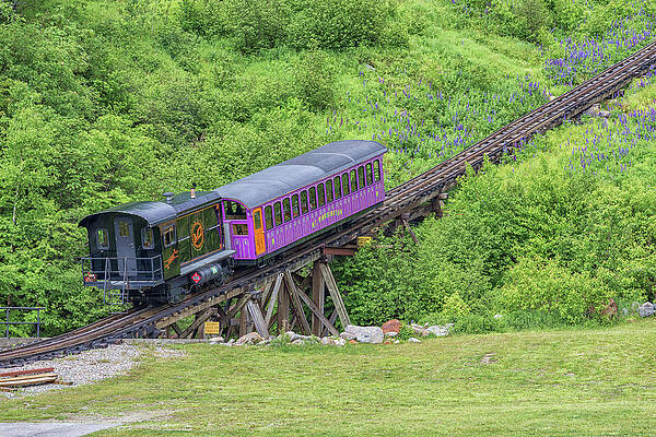 Wall Art - Photograph - Mt Washington Cog Railway Algonquin by Brian MacLean