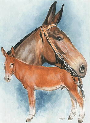 Wall Art - Mixed Media - Mule by Barbara Keith
