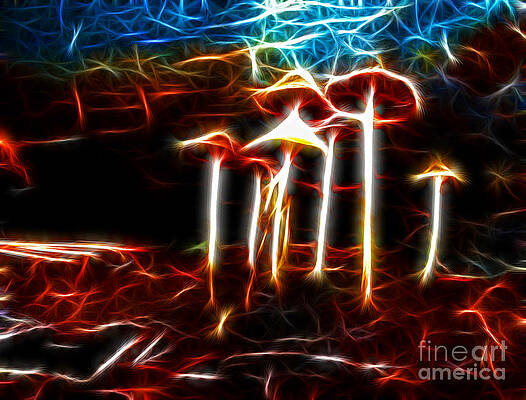 Mushroom Digital Art by Kami McKeon Mushroom Digital Art by Kami McKeon