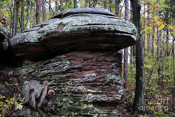 Wall Art - Photograph - Mushroom Rock by Andrea Silies