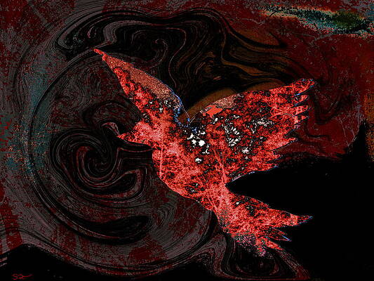 Bird Blood Art Page 9 Of 17 Fine Art America