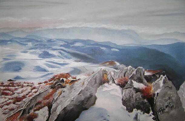 My Mountain by Meliha Bisic