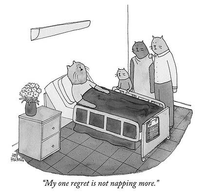 Wall Art - Drawing - My one regret is not napping more by Amy Hwang